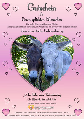 Gutschein - Rosa - Eselfreunde im Havelland e. V., Brandenburg - Eselwandern, Eselkurs
