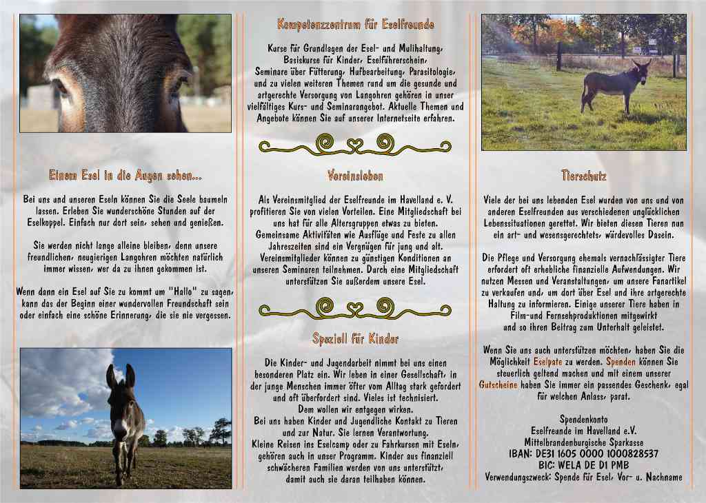 Esel-Workshop | Esel-Freunde Info-Flyer