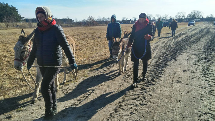 Eselfreunde im Havelland e. V. | Eseltrekking