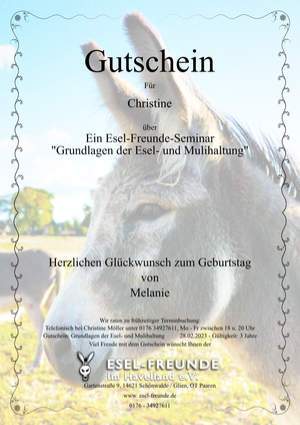 Gutschein - Standard - Eselfreunde im Havelland e. V., Brandenburg - Eselwandern, Eselkurs