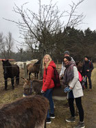 Eselfreunde im Havelland e. V. | Eselwanderungen