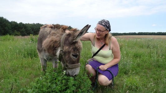 Eselfreunde im Havelland e. V. | Eselwanderungen